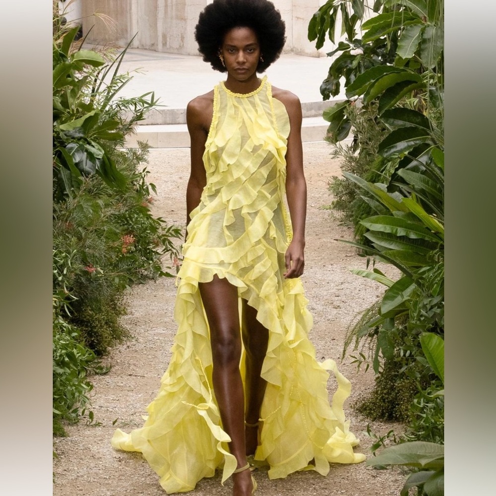 Zimmerman Wonderland Sleeveless Ruffle Gown